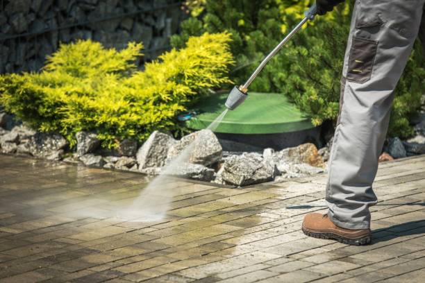 Best Factory Floor Cleaning  in Ben Wheeler, TX