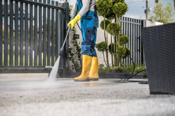 Best Dumpster Area Cleaning  in Ben Wheeler, TX