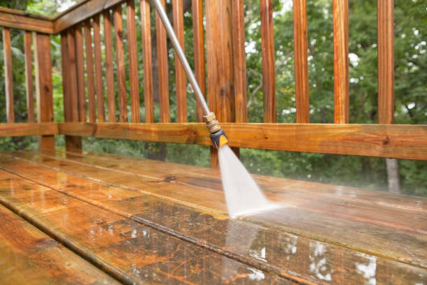 Best Animal Enclosure Cleaning  in Ben Wheeler, TX